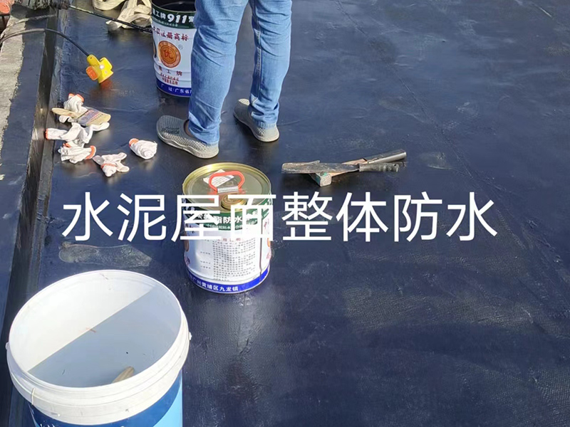 水泥屋面整體防水